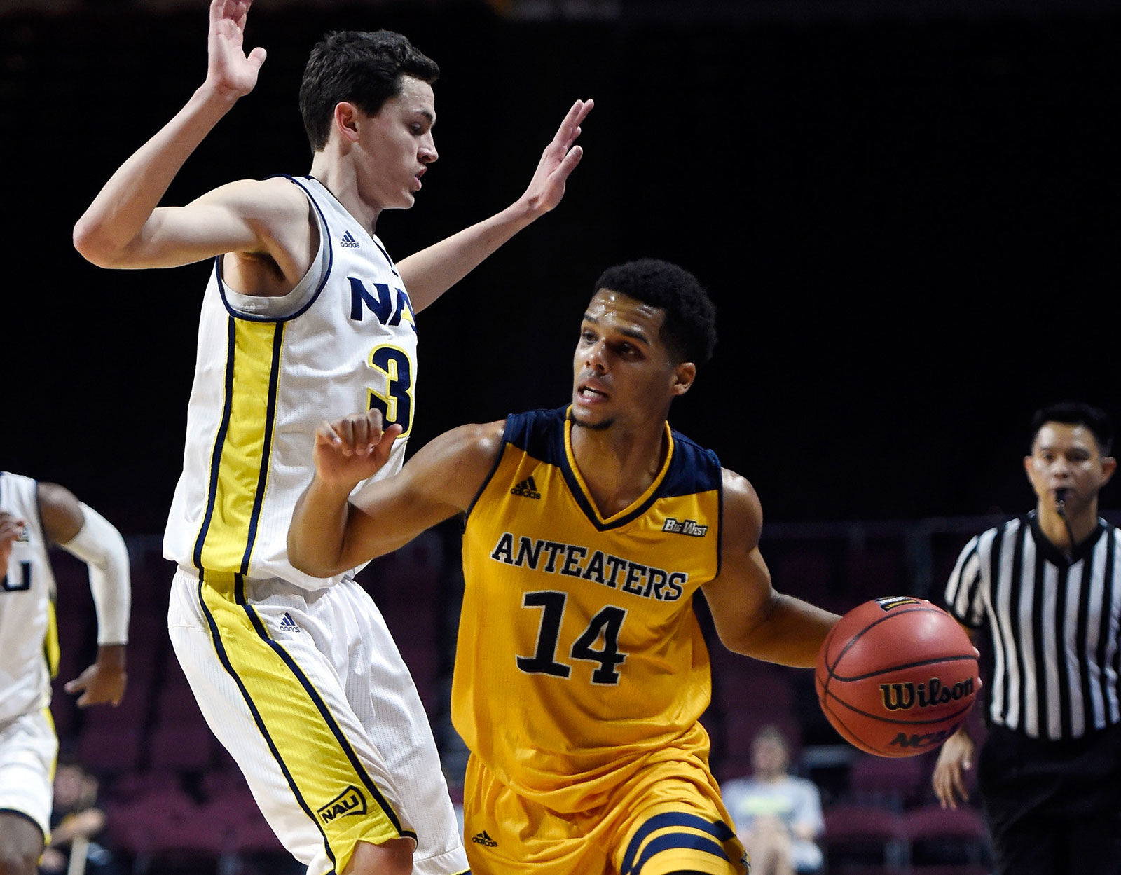 UC Irvine Anteaters